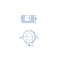 Tapones para rosca NPT con conector Hexagonal